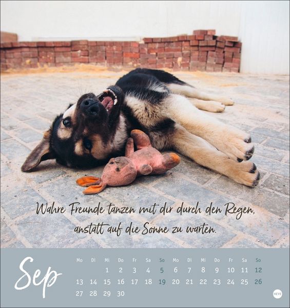 Produktbild: Ziemlich beste Freunde Postkartenkalender 2027 - F&uuml;r immer dein