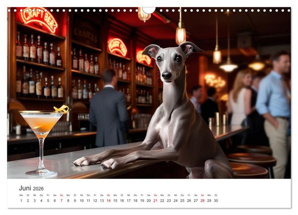 Produktbild: Funny Greyhounds - Windhunde mal anders (Wandkalender 2026 DIN A3 quer), CALVENDO Monatskalender
