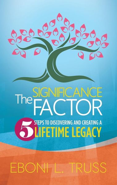 Produktbild: The Significance Factor