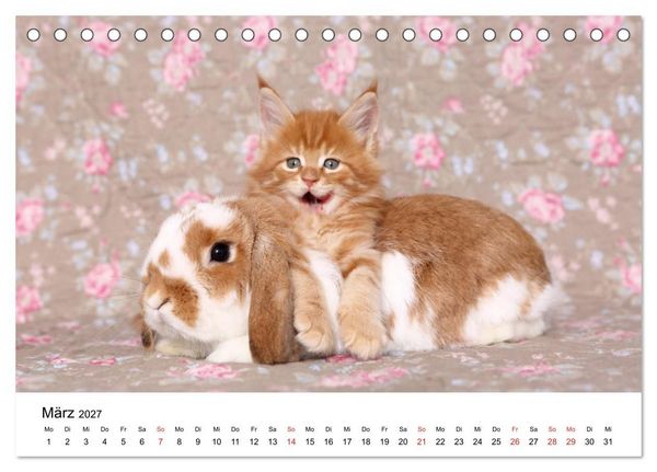 Produktbild: lach mit...just smile (Tischkalender 2027 DIN A5 quer), CALVENDO Monatskalender