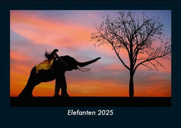 Produktbild: Elefanten 2025 Fotokalender DIN A5