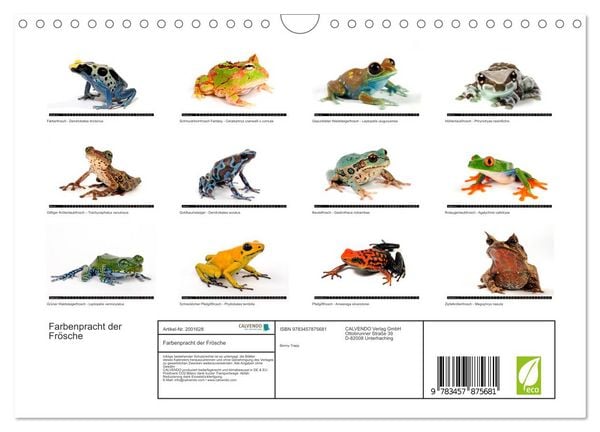 Produktbild: Farbenpracht der Fr&ouml;sche (Wandkalender 2026 DIN A4 quer), CALVENDO Monatskalender