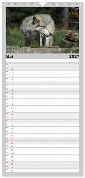 Produktbild: Familienplaner 2027 - W&ouml;lfe. Graue Eminenzen mit 5 Spalten (Wandkalender, 21 x 45 cm) CALVENDO
