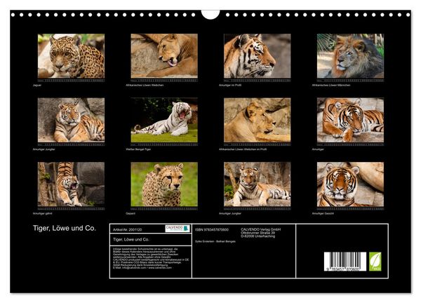 Produktbild: Tiger, L&ouml;we und Co. (Wandkalender 2026 DIN A3 quer), CALVENDO Monatskalender