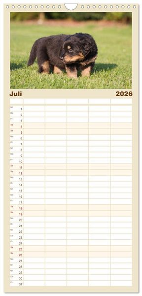 Produktbild: Familienplaner 2026 - Hovawarte - einmal anders mit 5 Spalten (Wandkalender, 21 x 45 cm) CALVENDO