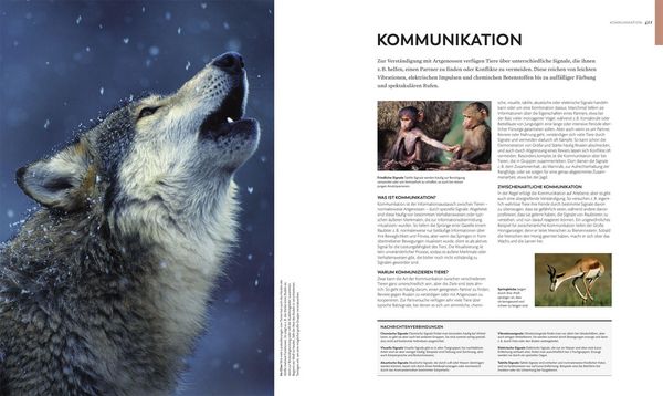 Produktbild: Tiere und ihr Verhalten
