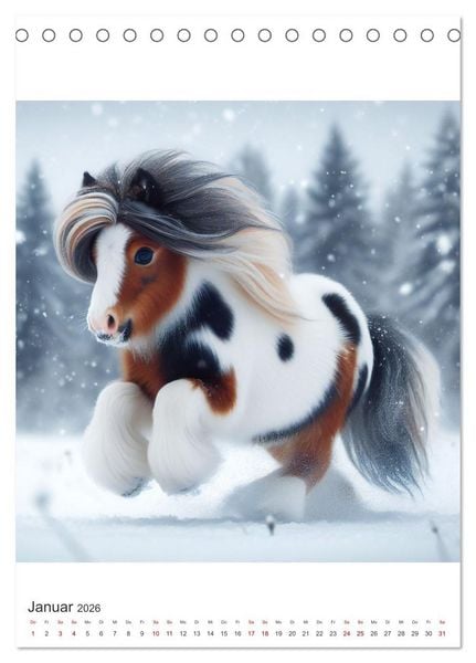 Produktbild: Gypsy Vanner Tinker - die majest&auml;tische Sch&ouml;nheit der Tinker-Pferde (Tischkalender 2026 DIN A5 hoch), CALVENDO Monatskalender