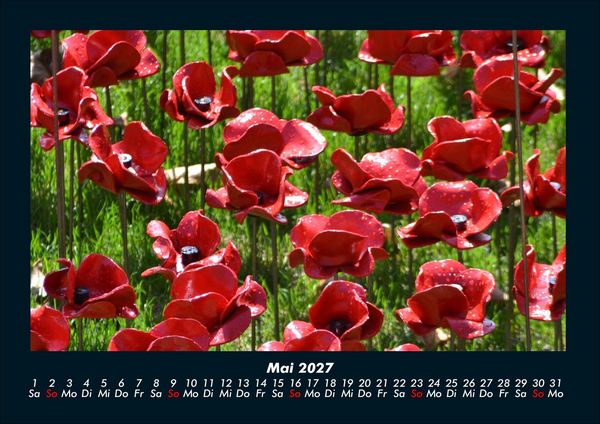 Produktbild: Blumenkalender 2027 Fotokalender DIN A4