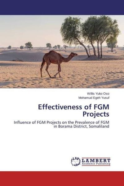 Produktbild: Yuko Oso, W: Effectiveness of FGM Projects