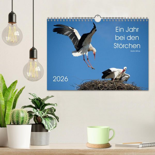 Produktbild: Ein Jahr bei den St&ouml;rchen (Wandkalender 2026 DIN A4 quer), CALVENDO Monatskalender
