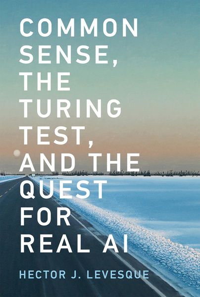 Produktbild: Common Sense, the Turing Test, and the Quest for Real AI