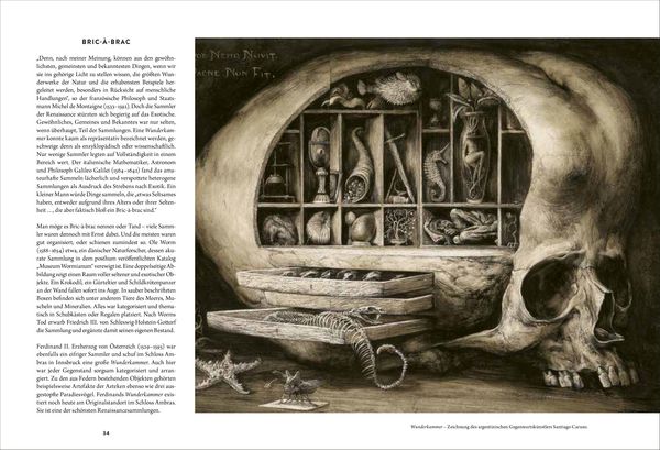 Produktbild: Wunderkammer