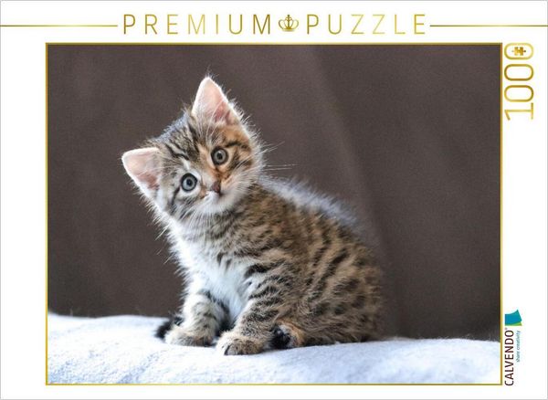 Produktbild: CALVENDO Puzzle Zauberblick | 1000 Teile Lege-Gr&ouml;&szlig;e 64x48cm Foto-Puzzle f&uuml;r gl&uuml;ckliche Stunden