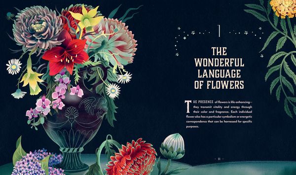 Produktbild: Plant Magic