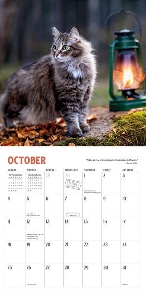 Produktbild: Travel Cats Wall Calendar 2026
