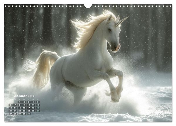 'Fliegende Mähnen und Sternenstaub - Ein zauberhafter Jahresbegleiter 