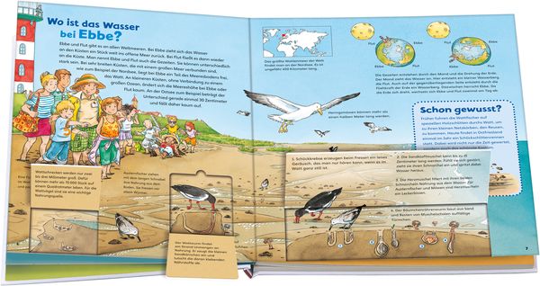 Das Meer / Was ist was junior Bd. 17