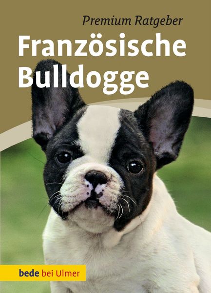 Produktbild: Franz&ouml;sische Bulldogge