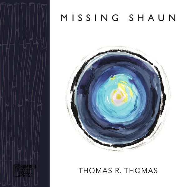 Produktbild: Missing Shaun