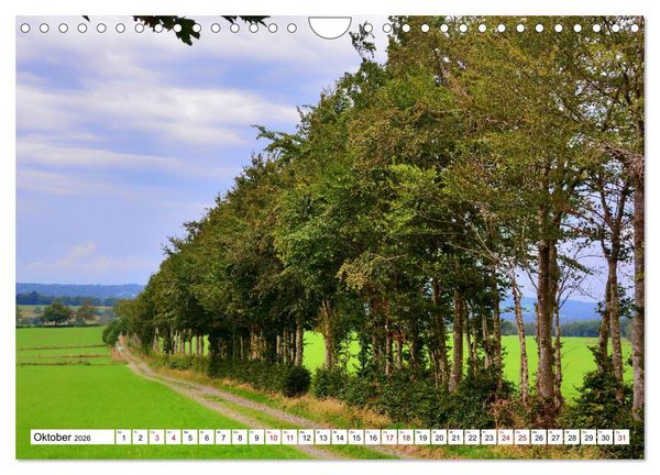 Produktbild: Faszinierende Hecken - Gr&uuml;ne Sch&ouml;nheiten im Monschauer Land (Wandkalender 2026 DIN A4 quer), CALVENDO Monatskalender