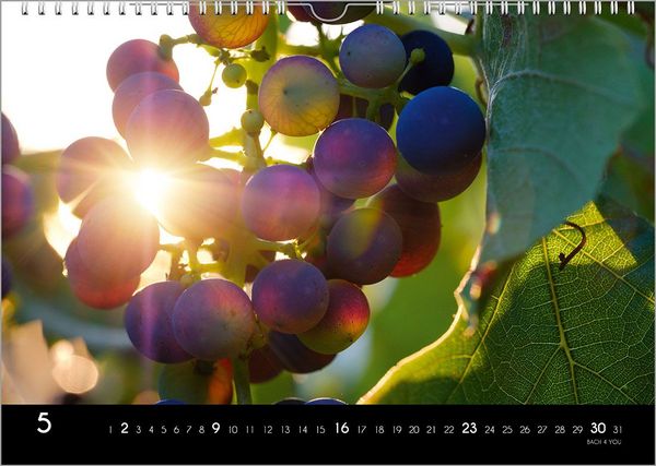 Produktbild: Der Weinkalender 2027, DIN A3 &ndash; ein Fotokalender