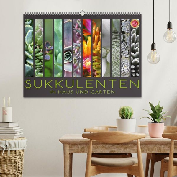 Produktbild: Sukkulenten in Haus und Garten (Wandkalender 2026 DIN A2 quer), CALVENDO Monatskalender