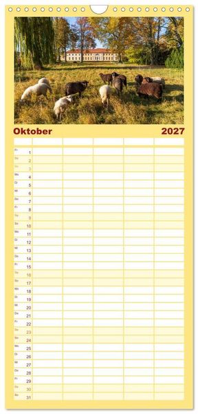 Produktbild: Familienplaner 2027 - Schl&ouml;sser und G&auml;rten in Brandenburg mit 5 Spalten (Wandkalender, 21 x 45 cm) CALVENDO