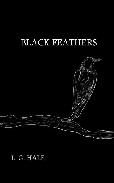 Produktbild: Black Feathers