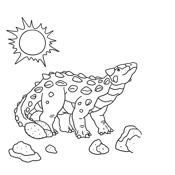 Produktbild: Malbuch (T-Rex World)