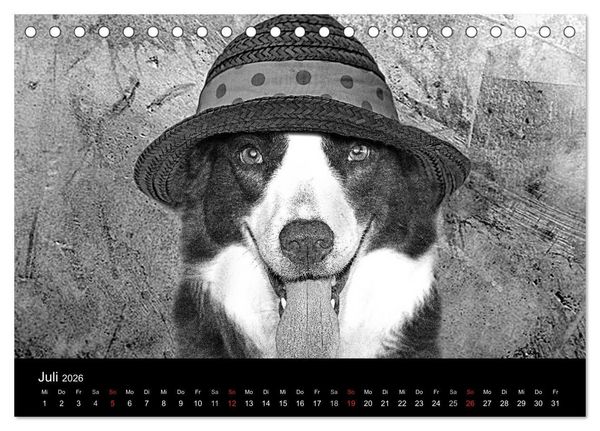 Produktbild: H&uuml;tehunde (Tischkalender 2026 DIN A5 quer), CALVENDO Monatskalender