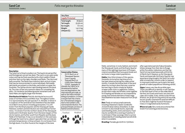 Produktbild: Spalton, A: Field Guide to the Mammals of Oman
