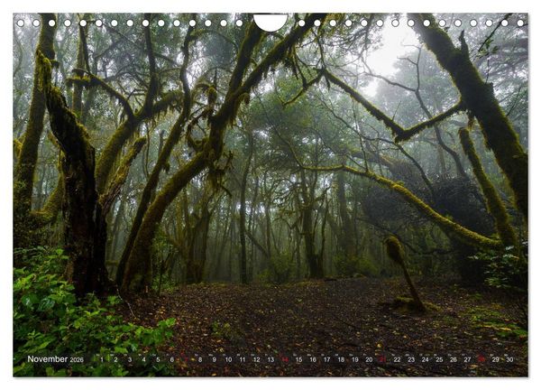 Produktbild: La Isla de La Gomera - Wilde Sch&ouml;nheit im Atlantik (Wandkalender 2026 DIN A4 quer), CALVENDO Monatskalender