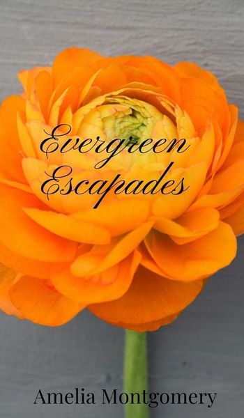 Produktbild: Evergreen Escapades