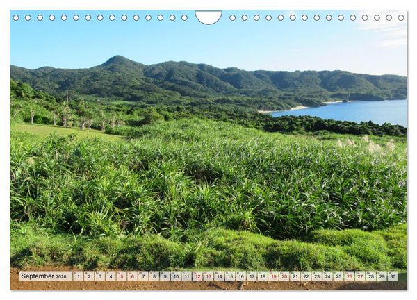 Produktbild: Ishigaki & Miyako - Subtropisches Inselparadies im S&uuml;den Japans (Wandkalender 2026 DIN A4 quer), CALVENDO Monatskalender