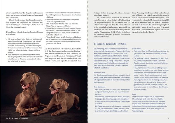 Produktbild: Dem Geruch auf der Spur