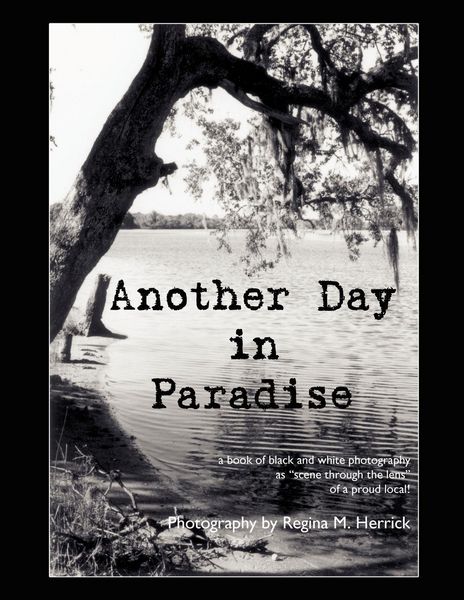 Produktbild: Another Day in Paradise