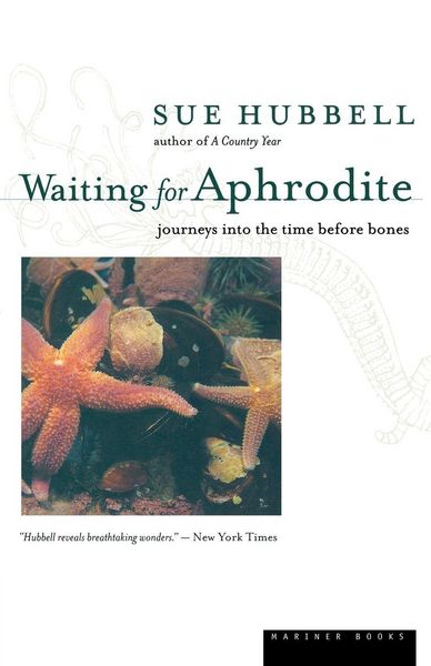 Produktbild: Waiting for Aphrodite