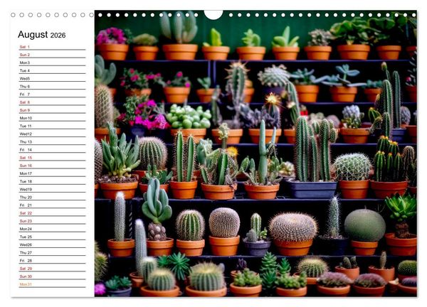 Produktbild: Cacti Wonderland (Wall Calendar 2026 DIN A3 landscape), CALVENDO 12 Month Wall Calendar
