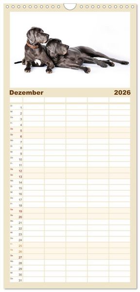 Produktbild: Familienplaner 2026 - Deutsche Doggen / Geburtstagskalender mit 5 Spalten (Wandkalender, 21 x 45 cm) CALVENDO