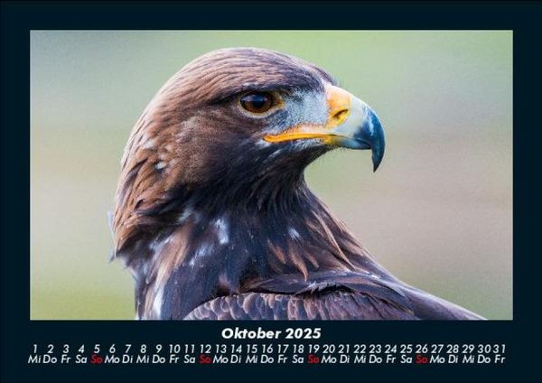 Produktbild: Adler 2025 Fotokalender DIN A5