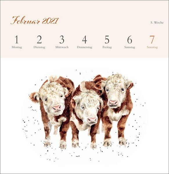 Produktbild: Hannah Dale: Happy Animals Premium-Postkartenkalender 2027