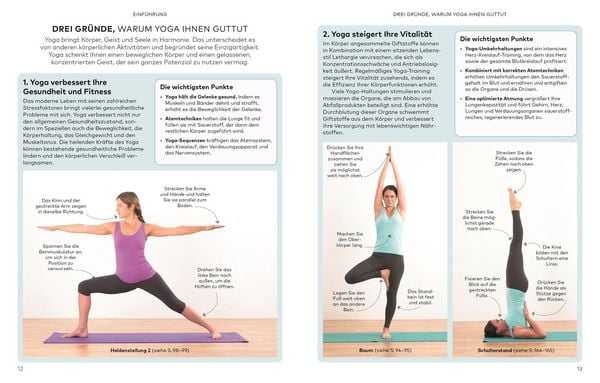 Produktbild: Die kleine Yoga-Schule