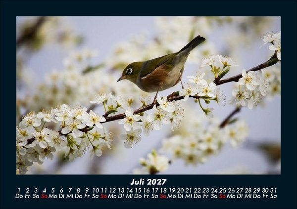 Produktbild: Vogelparadies 2027 Fotokalender DIN A5