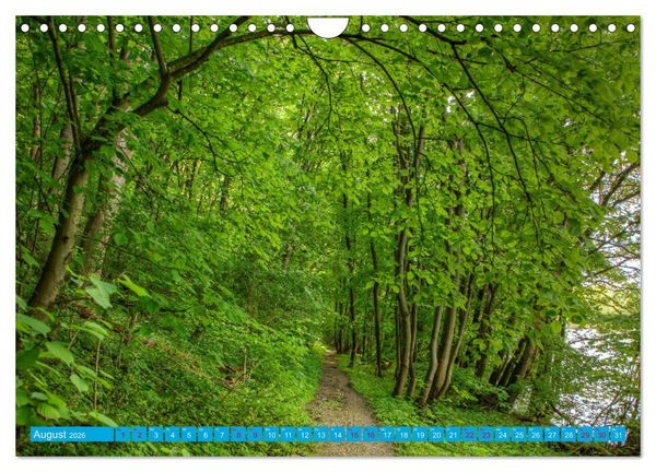 Produktbild: Natur pur - Volkach am Main (Wandkalender 2026 DIN A4 quer), CALVENDO Monatskalender