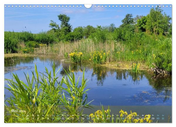 Produktbild: Moortr&auml;ume - Natursch&ouml;nheit in Bildern (Wandkalender 2026 DIN A3 quer), CALVENDO Monatskalender