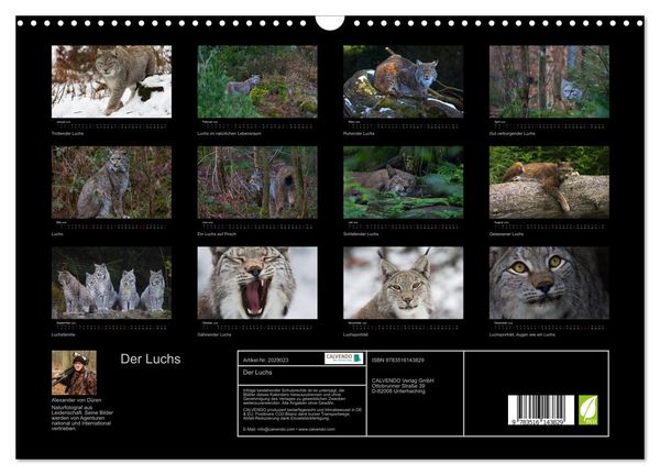 Produktbild: Der Luchs (Wandkalender 2026 DIN A3 quer), CALVENDO Monatskalender
