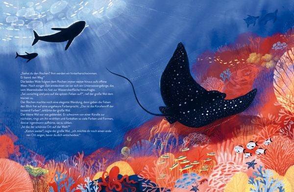 Produktbild: Der kleine Wal und der schönste Ort der Welt