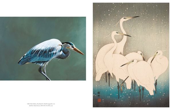 Produktbild: V&ouml;gel in der Kunst