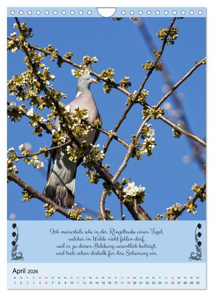 Produktbild: Buntes Tierleben (Wandkalender 2026 DIN A4 hoch), CALVENDO Monatskalender