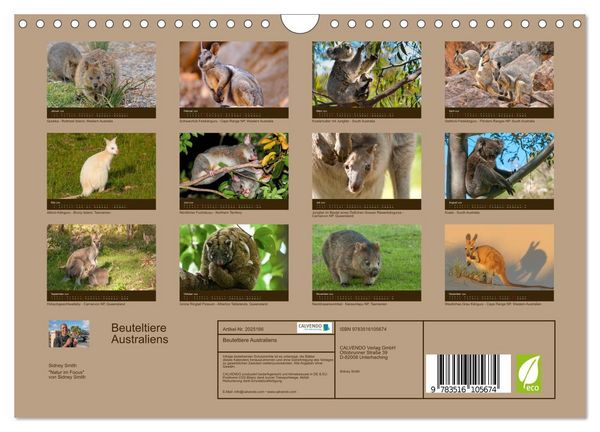Produktbild: Beuteltiere Australiens (Wandkalender 2026 DIN A4 quer), CALVENDO Monatskalender